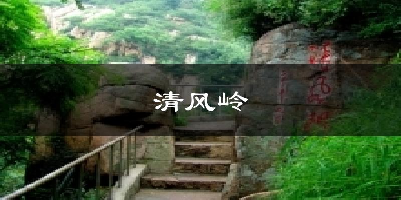 清风岭今日天气