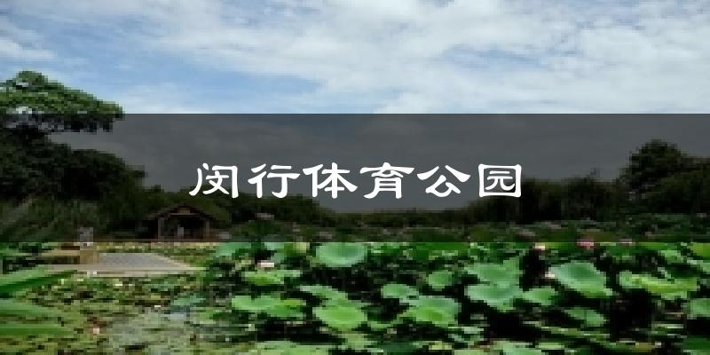 闵行体育公园今日天气