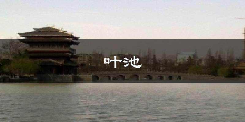 叶池今日天气