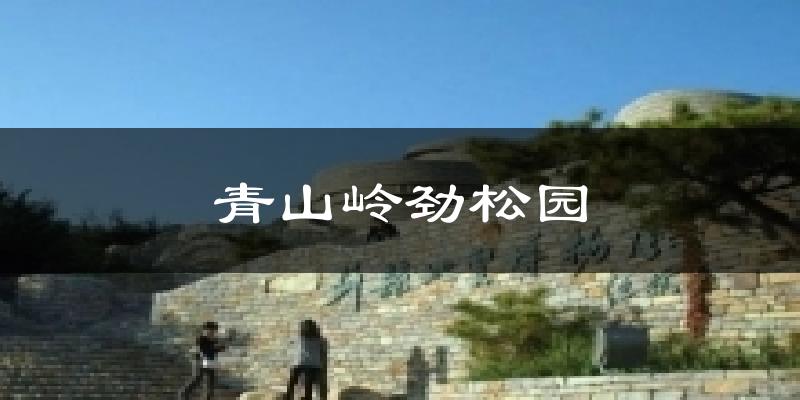青山岭劲松园今日天气