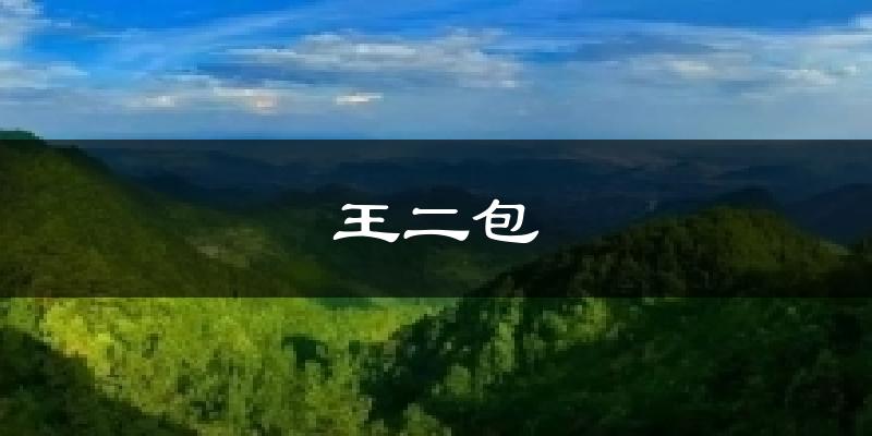 王二包今日天气