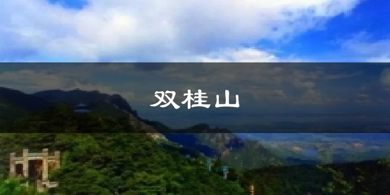 双桂山今日天气