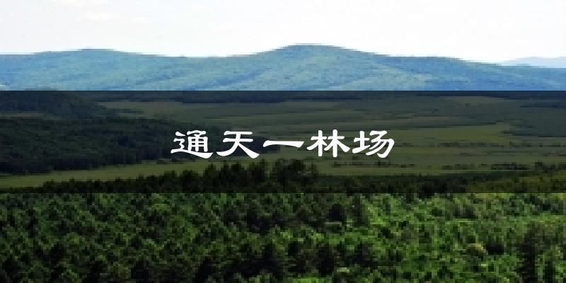 通天一林场今日天气