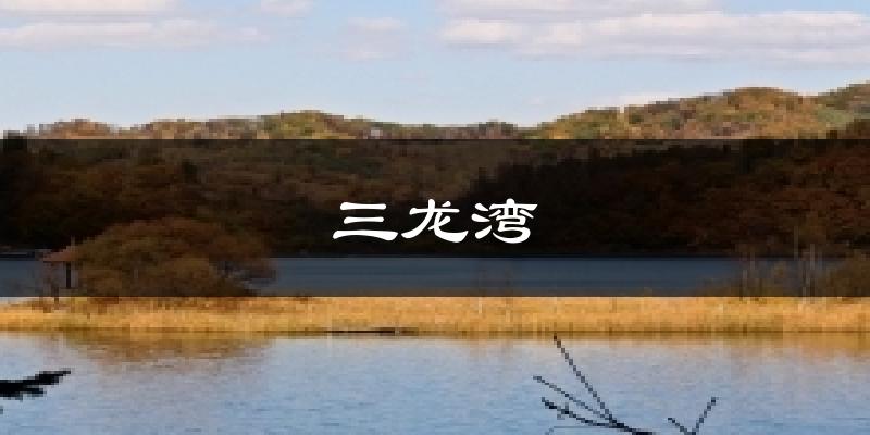 三龙湾气温