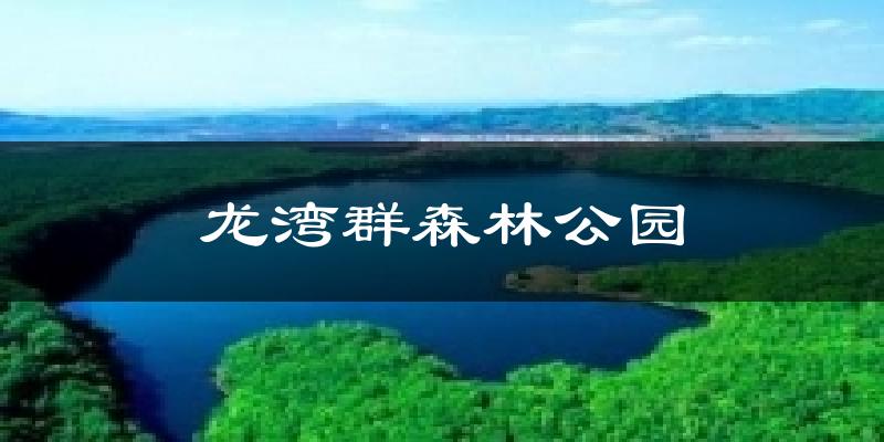 龙湾群森林公园今日天气