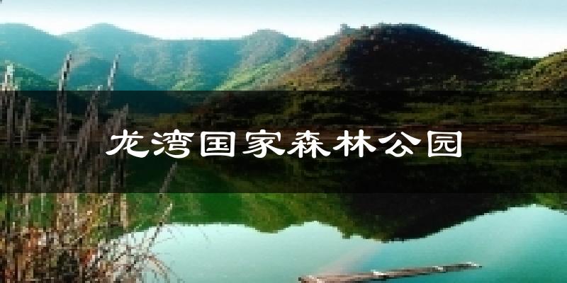 龙湾国家森林公园今日天气