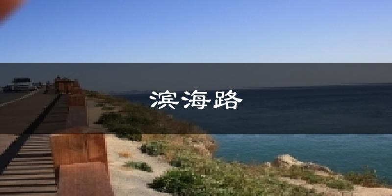 滨海路今日天气
