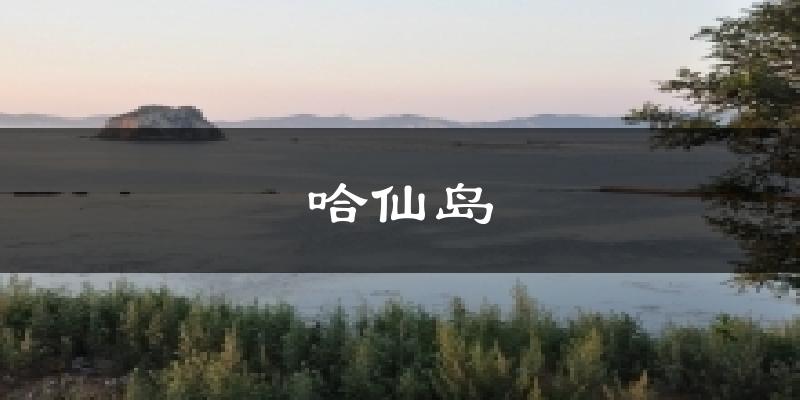 哈仙岛今日天气