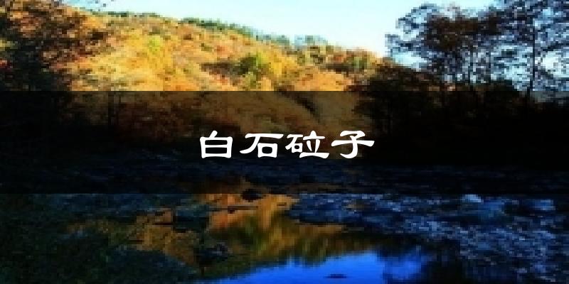 白石砬子今日天气