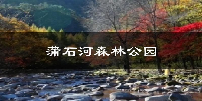 蒲石河森林公园今日天气