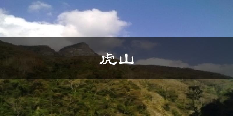 虎山今日天气