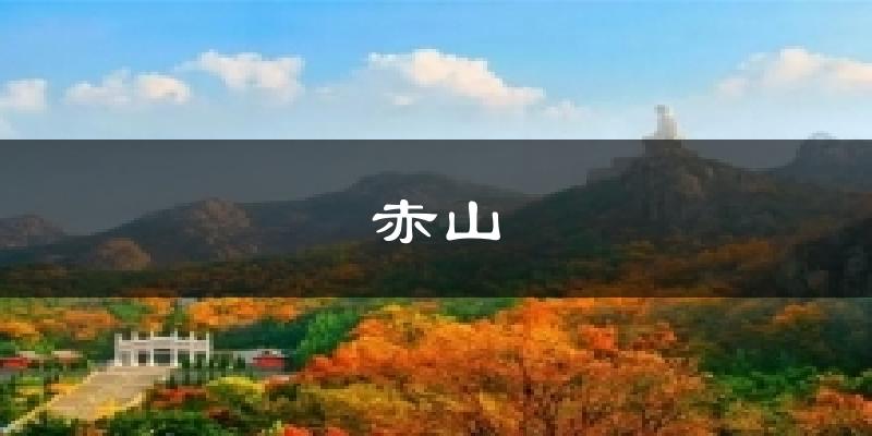 赤山今日天气