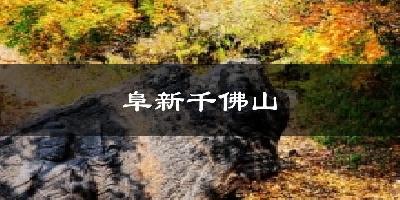 阜新千佛山今日天气