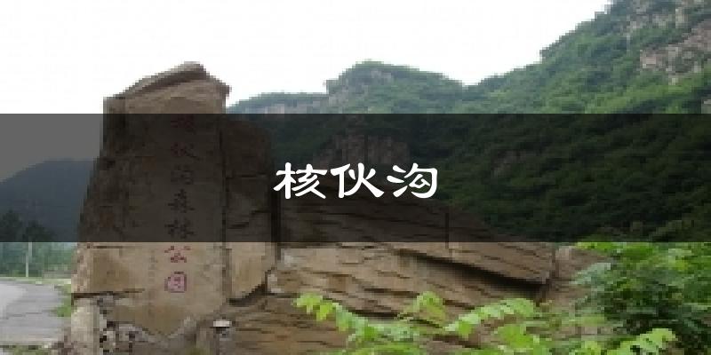 核伙沟今日天气