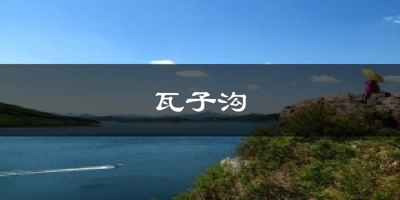 瓦子沟今日天气