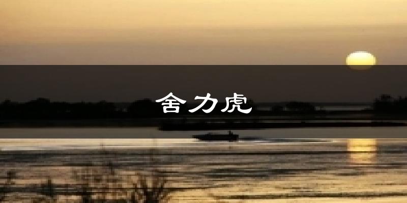 舍力虎今日天气