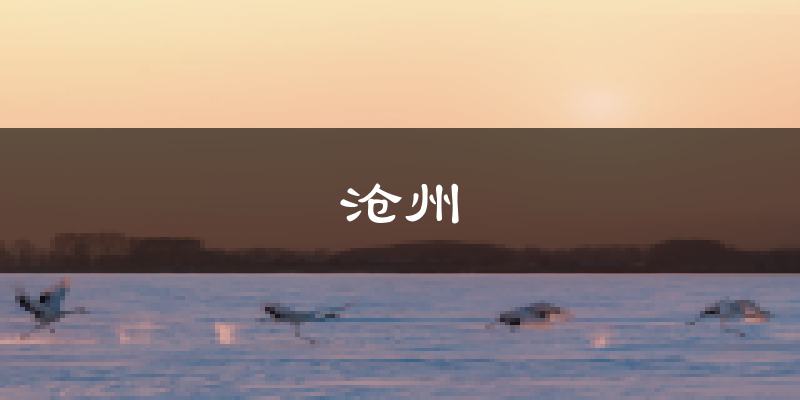 沧州天气预报未来一周