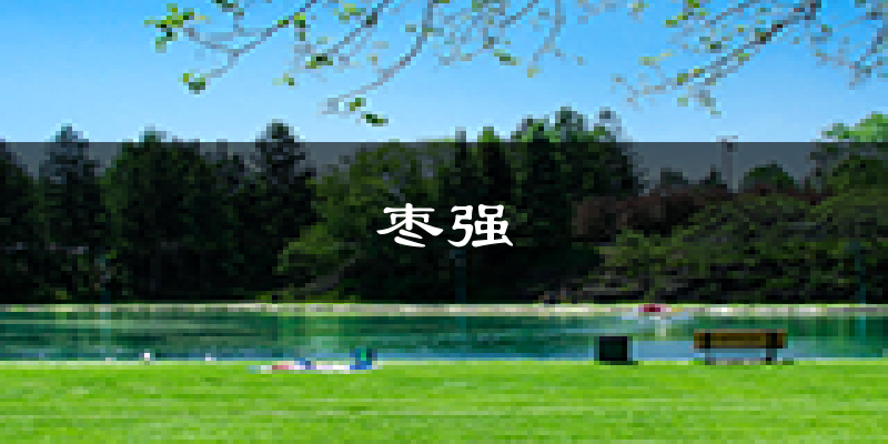 枣强天气预报未来一周