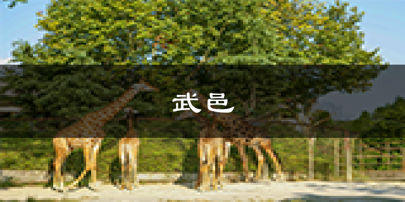 武邑天气预报未来一周