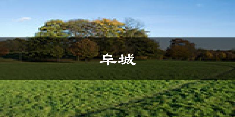 阜城天气预报未来一周