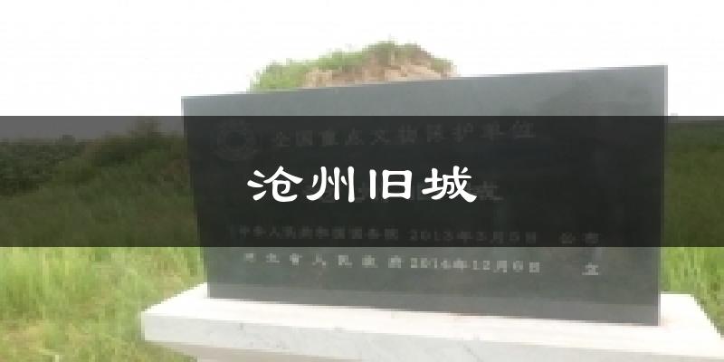 沧州旧城今日天气