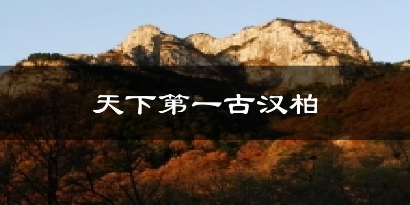 天下第一古汉柏今日天气
