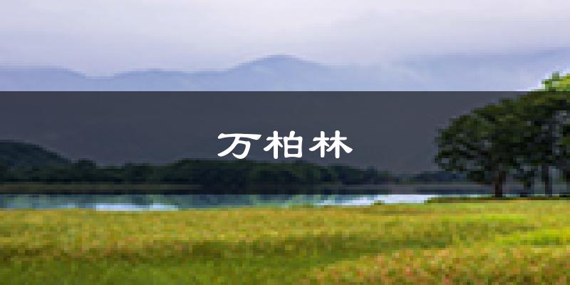 太原万柏林天气预报未来一周