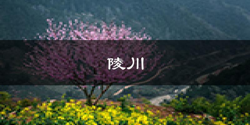 陵川天气预报未来一周