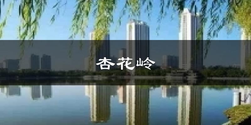 杏花岭气温