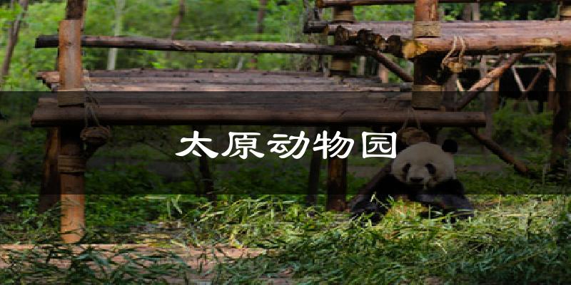 太原动物园气温