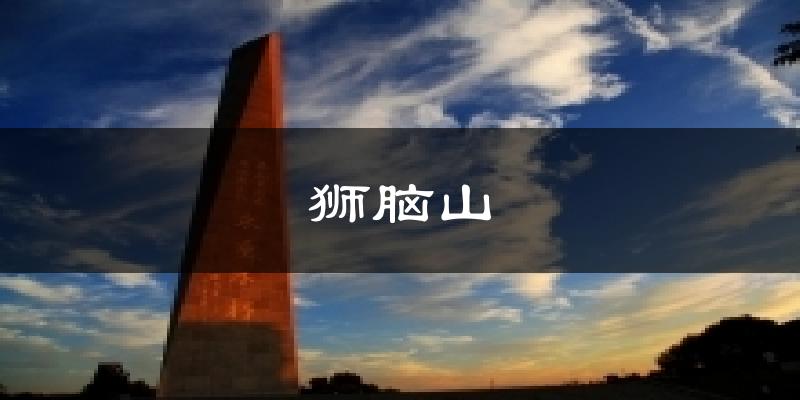 狮脑山气温