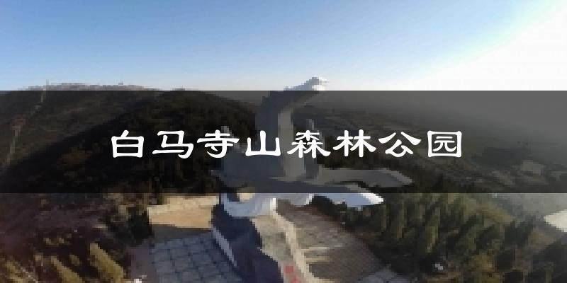 白马寺山森林公园气温