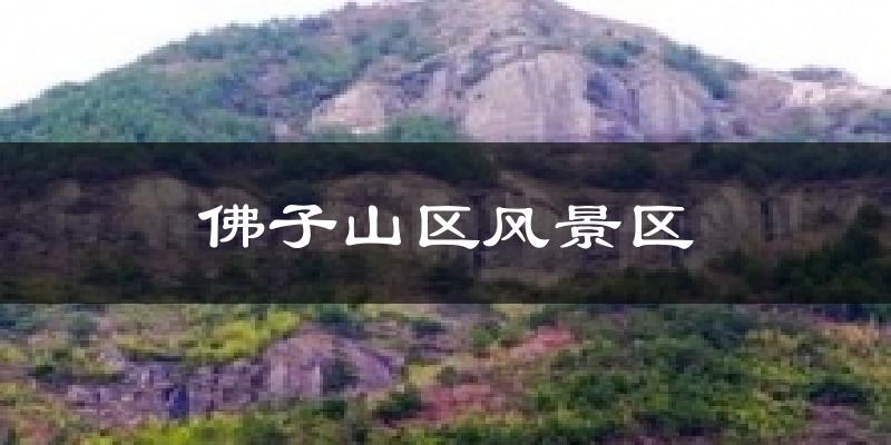 佛子山区风景区今日天气