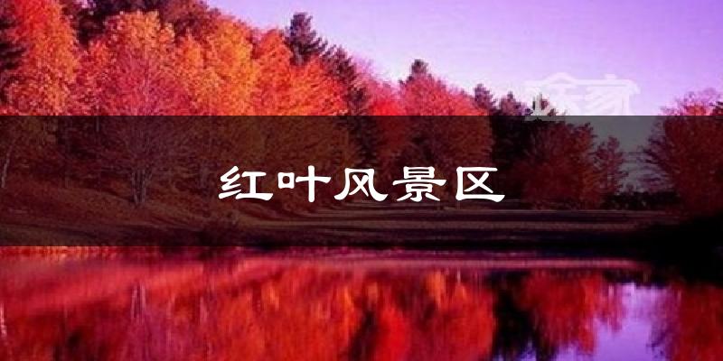 红叶风景区今日天气