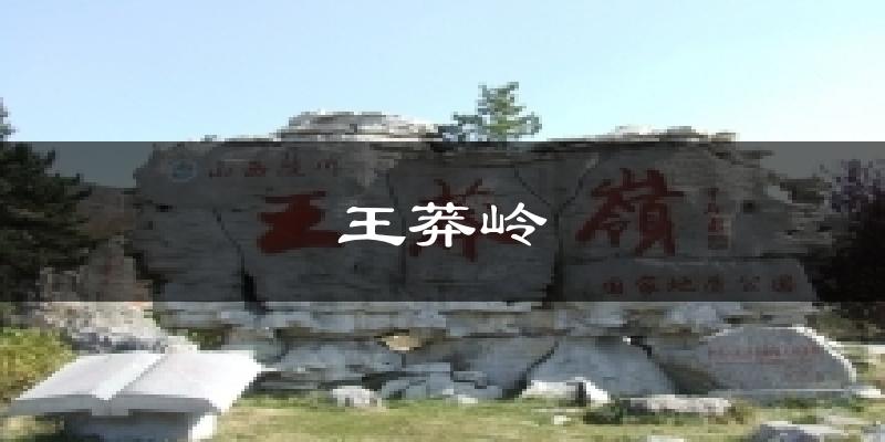 王莽岭今日天气