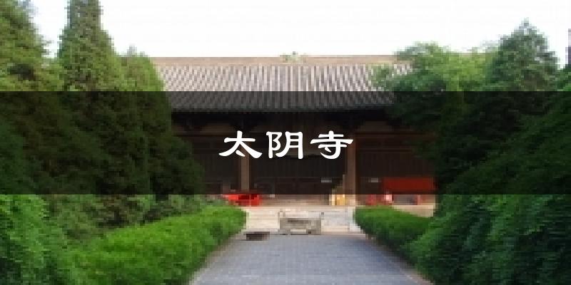 太阴寺气温