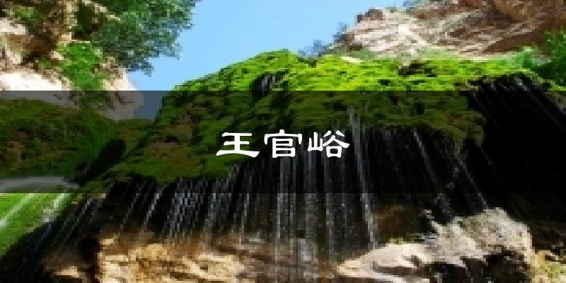 王官峪今日天气