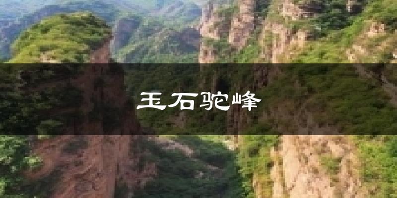玉石驼峰今日天气
