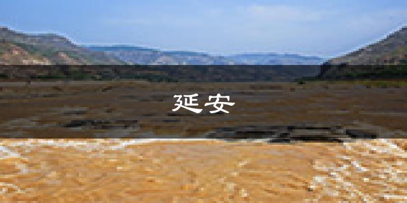 延安天气预报未来一周