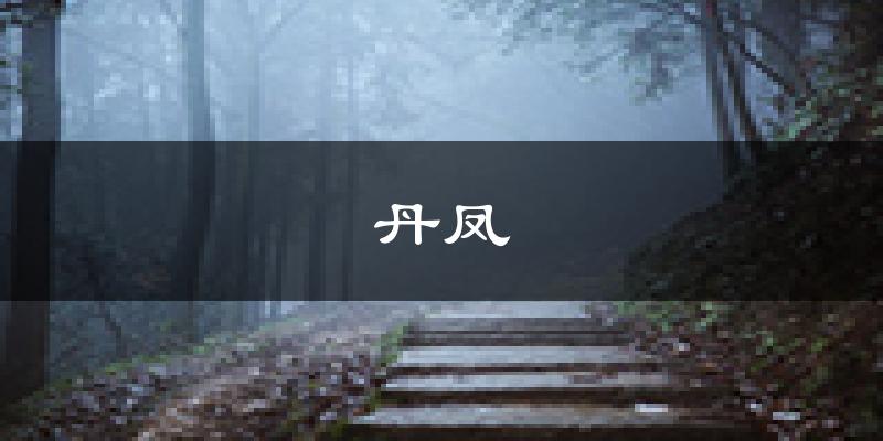 丹凤天气预报未来一周