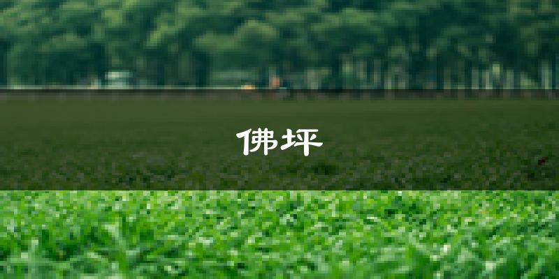 佛坪天气预报未来一周