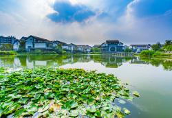 淄博四世宫保坊天气未来一周