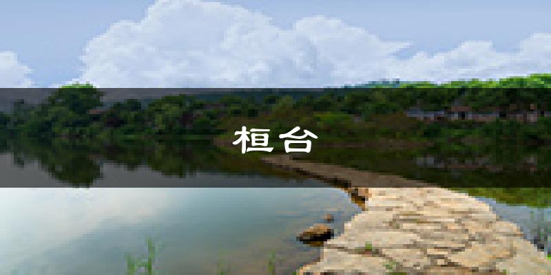 桓台天气预报未来一周