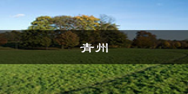 青州天气预报未来一周