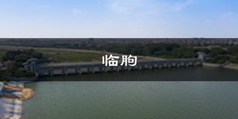 临朐天气预报未来一周