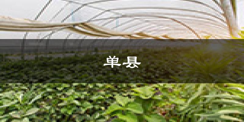 单县天气预报未来一周