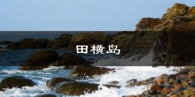 田横岛今日天气