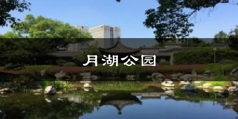 月湖公园今日天气