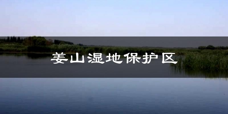 姜山湿地保护区今日天气