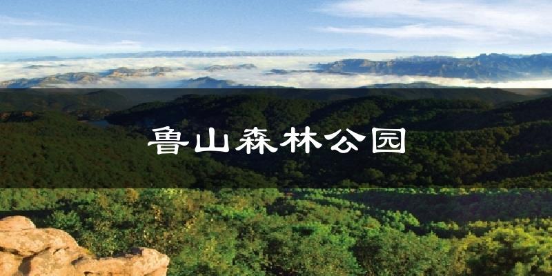 鲁山森林公园今日天气